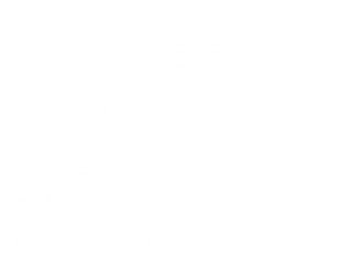 Adidas logo